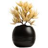 Green-Tree-Pot